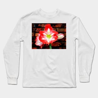 Amaryllis Allure Long Sleeve T-Shirt